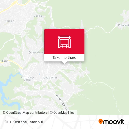 Düz Kestane map