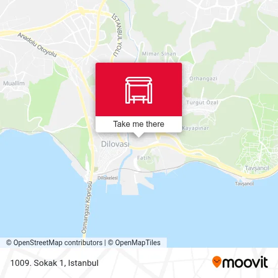 1009. Sokak 1 map