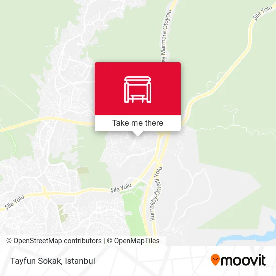 Tayfun Sokak map