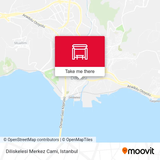 Diliskelesi Merkez Cami map