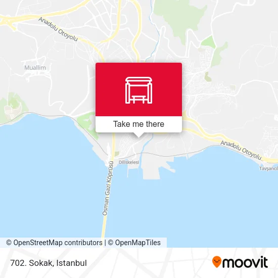 702. Sokak map