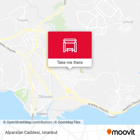 Alparslan Caddesi map