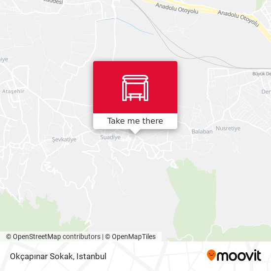 Okçapınar Sokak map