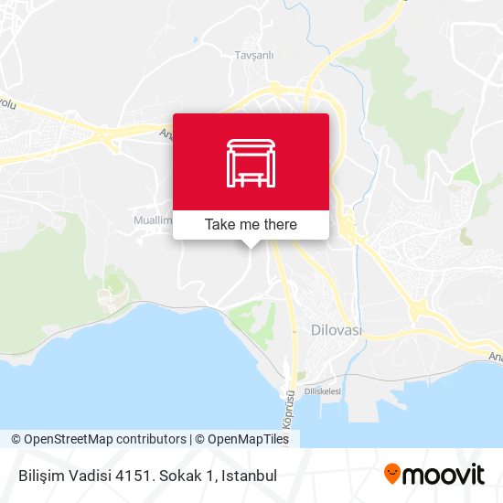 Bilişim Vadisi 4151. Sokak 1 map