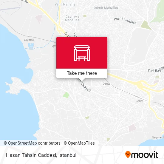 Hasan Tahsin Caddesi map