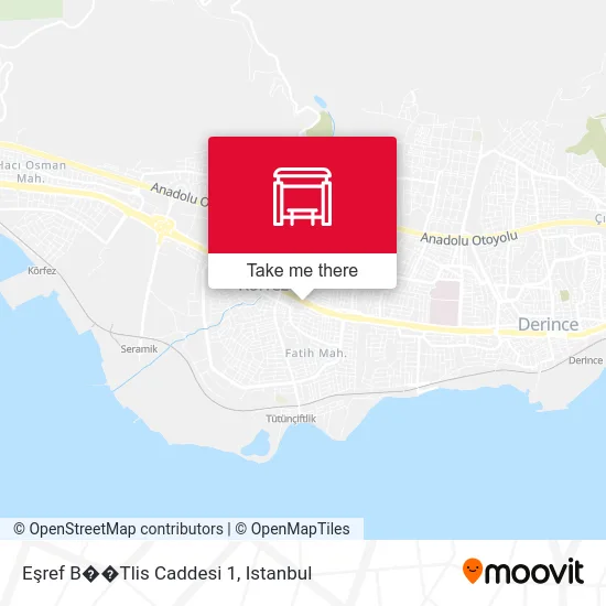 Eşref B��Tlis Caddesi 1 map