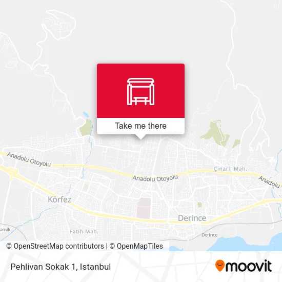Pehlivan Sokak 1 map