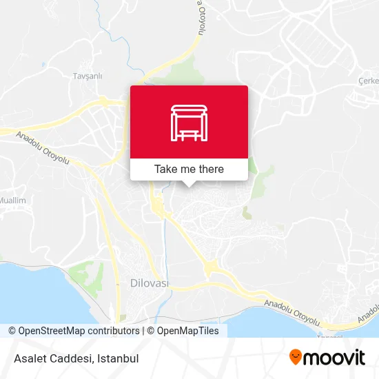 Asalet Caddesi map
