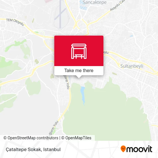 Çataltepe Sokak map