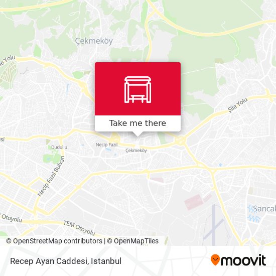 Recep Ayan Caddesi map