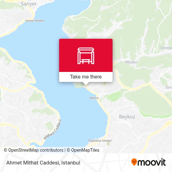 Ahmet Mithat Caddesi map