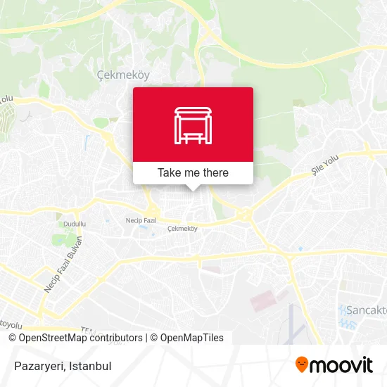 Pazaryeri map