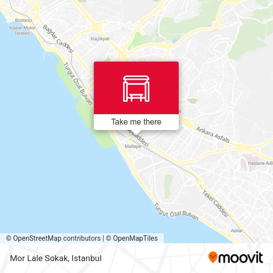 Mor Lale Sokak map