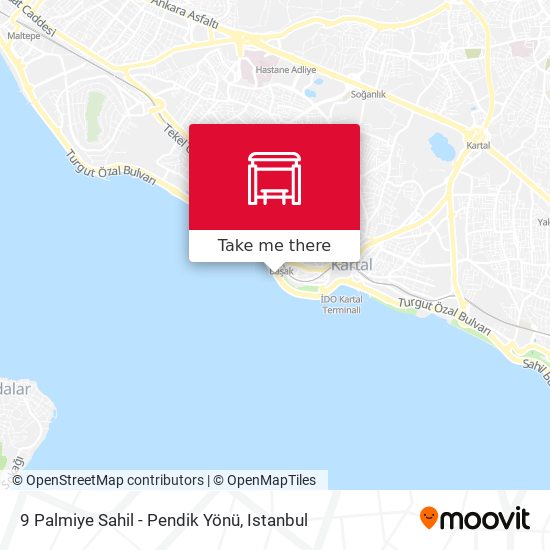 9 Palmiye Sahil - Pendik Yönü map