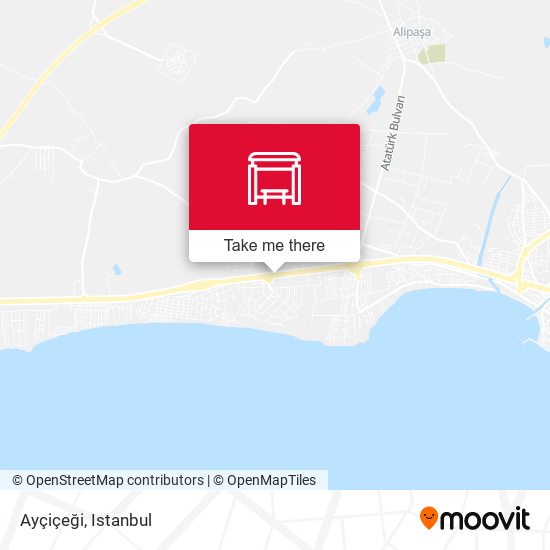 Ayçiçeği map