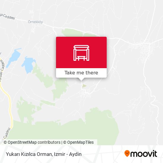 Yukarı Kızılca Orman map