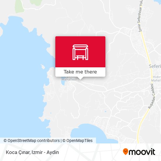Koca Çınar map