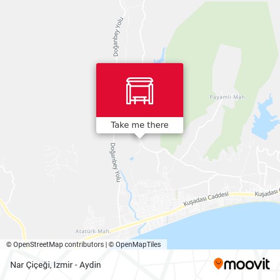 Nar Çiçeği map