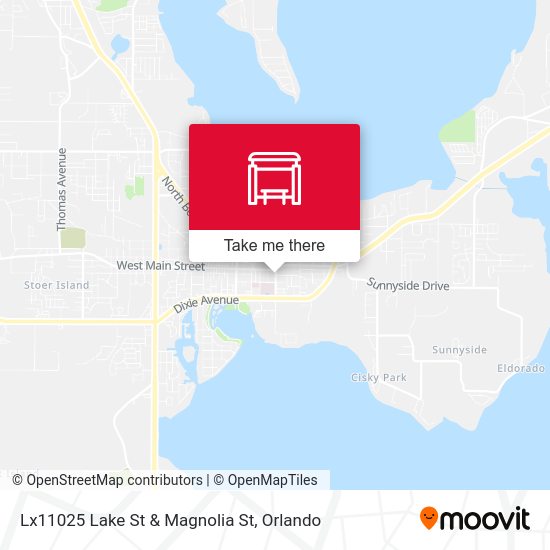 Lx11025 Lake St & Magnolia St map