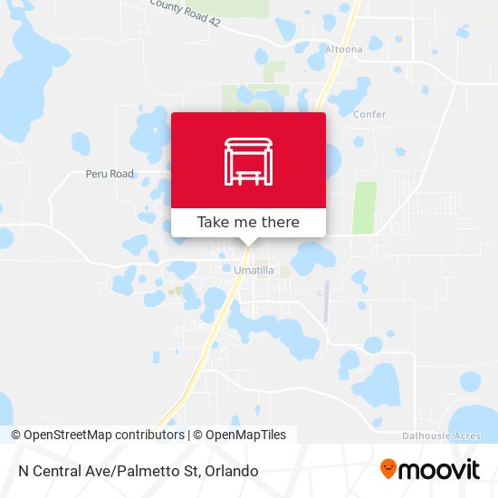 N Central Ave/Palmetto St map