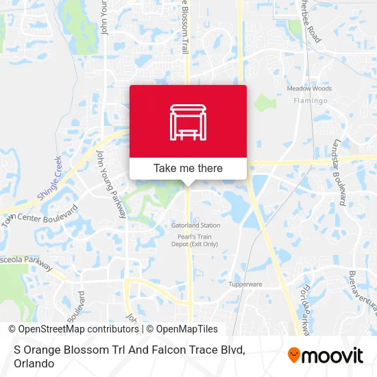 S Orange Blossom Trl And Falcon Trace Blvd map