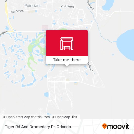 Tiger Rd And Dromedary Dr map