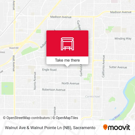 Mapa de Walnut Ave & Walnut Pointe Ln (NB)
