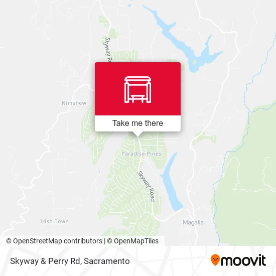 Skyway & Perry Rd map