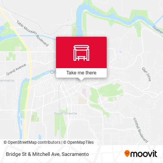 Bridge St & Mitchell Ave map