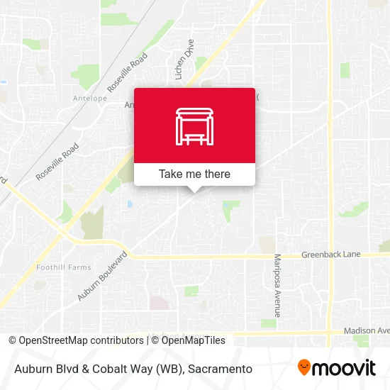 Mapa de Auburn Blvd & Cobalt Way (WB)