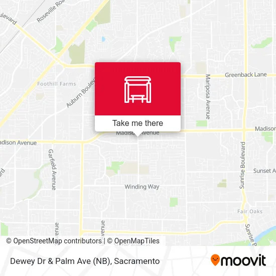 Dewey Dr & Palm Ave (NB) map