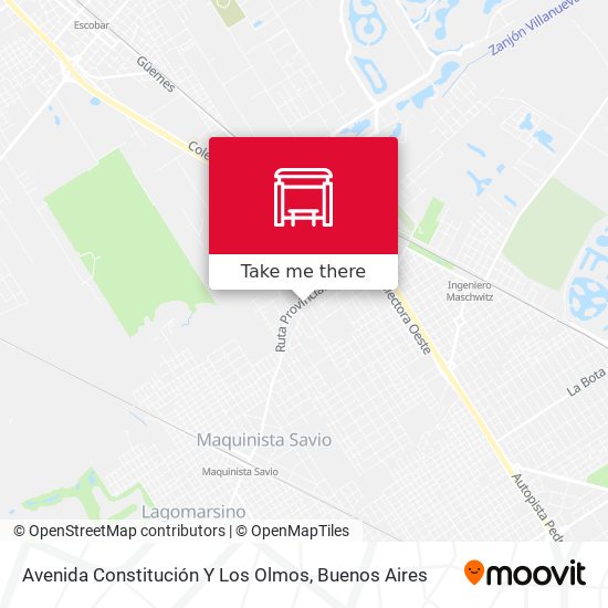 Avenida Constitución Y Los Olmos map