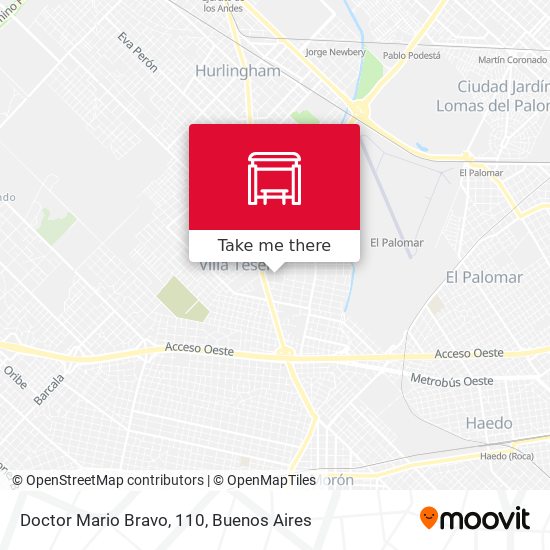 Mapa de Doctor Mario Bravo, 110