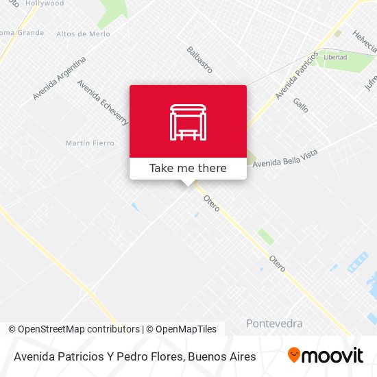 Avenida Patricios Y Pedro Flores map
