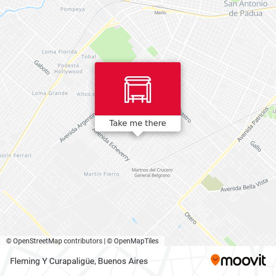 Fleming Y Curapaligüe map