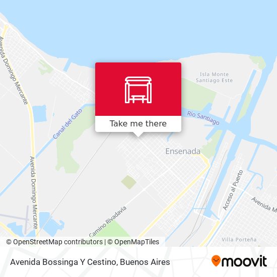 Avenida Bossinga Y Cestino map
