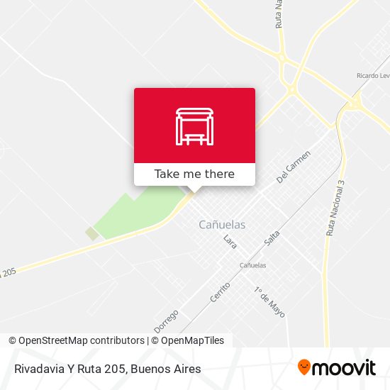 Mapa de Rivadavia Y Ruta 205