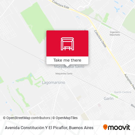 Avenida Constitución Y El Picaflor map