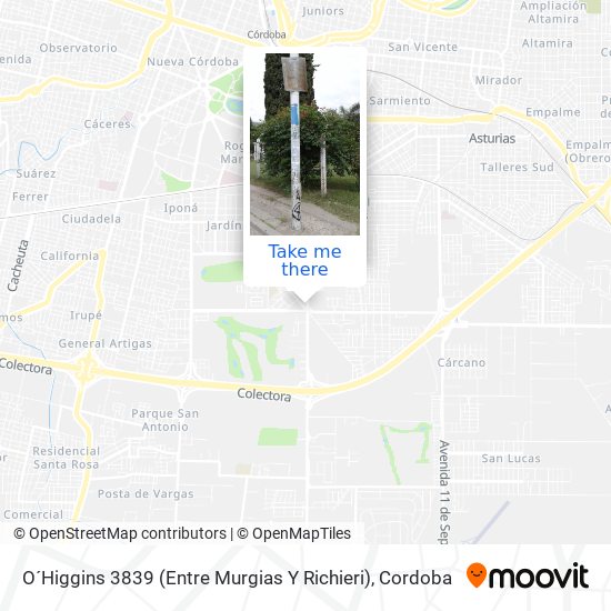 O´Higgins 3839 (Entre Murgias Y Richieri) map