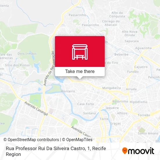 Rua Professor Rui Da Silveira Castro, 1 map