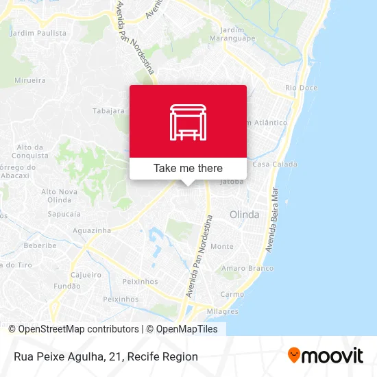 Rua Peixe Agulha, 21 map