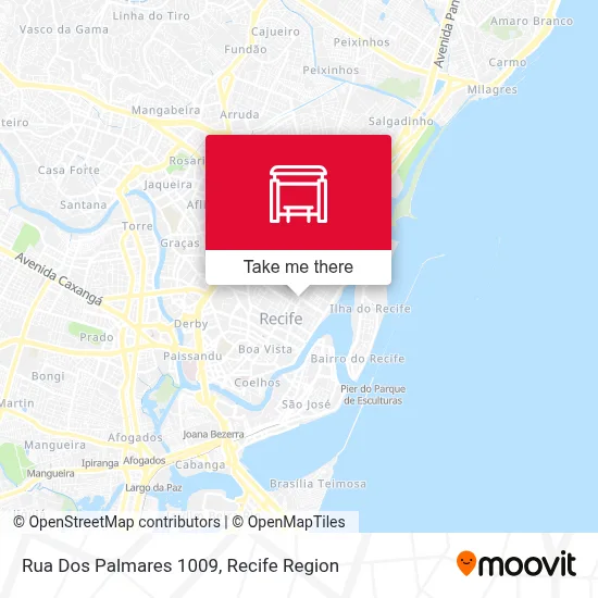 Rua Dos Palmares 1009 map