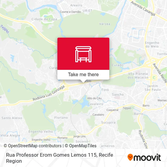 Rua Professor Erom Gomes Lemos 115 map