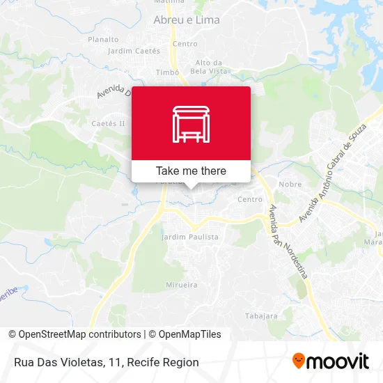 Rua Das Violetas, 11 map