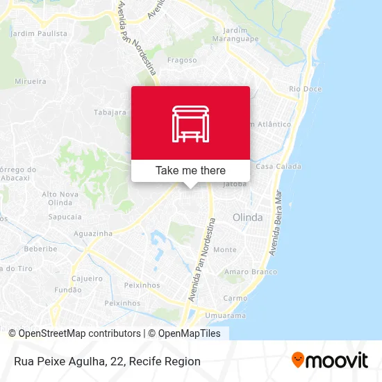 Rua Peixe Agulha, 22 map