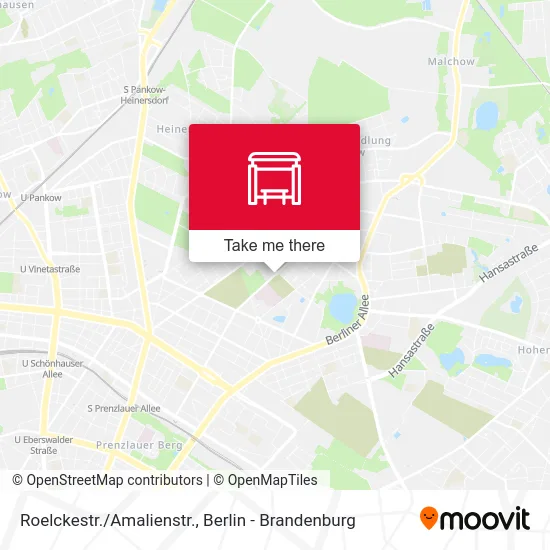 Карта Roelckestr./Amalienstr.