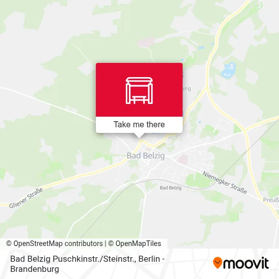 Bad Belzig Puschkinstr. / Steinstr. map