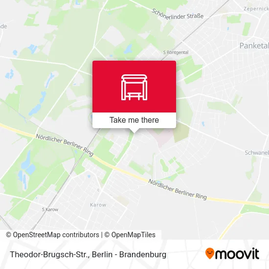 Карта Theodor-Brugsch-Str.