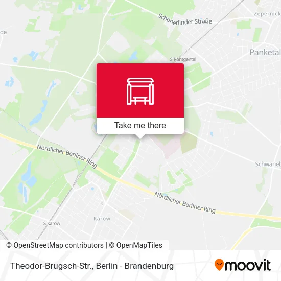Карта Theodor-Brugsch-Str.