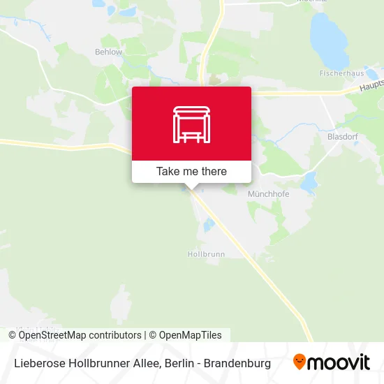 Lieberose Hollbrunner Allee map